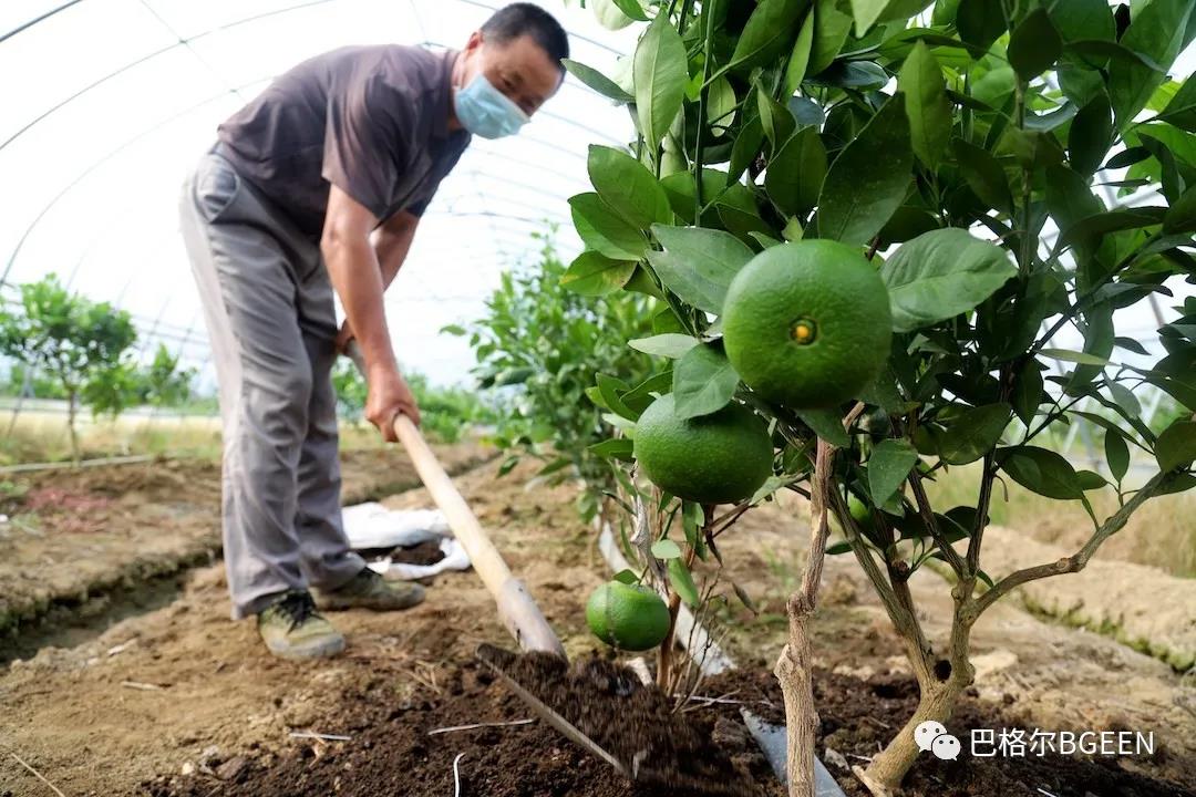 传统肥料急需升级，新型功能性肥料市场前景广阔 ！